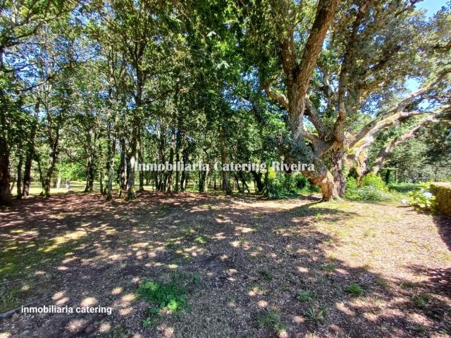 Casa Rural en venta en Ribeira, A Barbanza