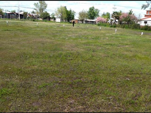 Terreno en venta en Ñuble