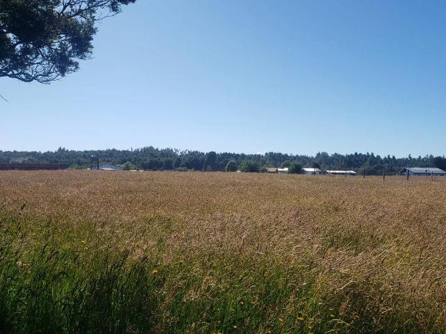 Terreno en venta en Calbuco, Los Lagos