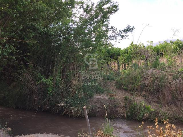 Local Comercial en Calle Larga