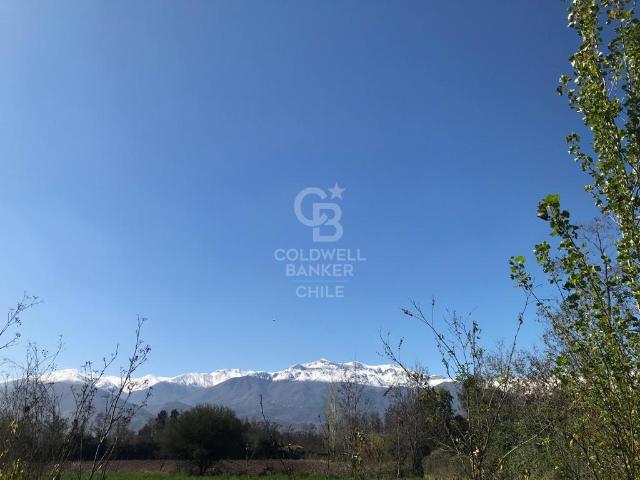 Local Comercial en Calle Larga