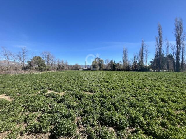 Local Comercial en Calle Larga