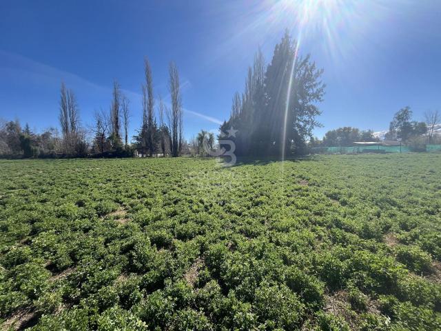 Local Comercial en Calle Larga