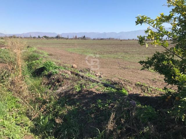 Local Comercial en Calle Larga