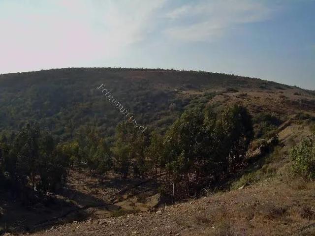 Terreno en venta en Canela Baja, Canela