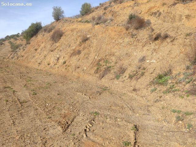 Local Comercial en venta en La Axarquía, Andalucía