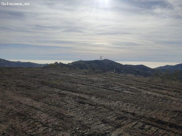 Local Comercial en venta en La Axarquía, Andalucía