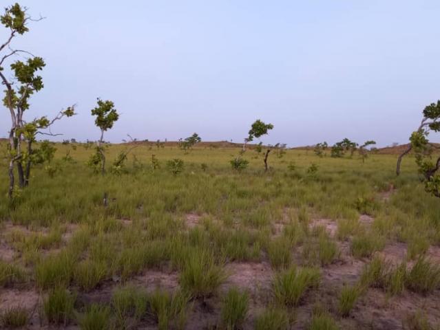 Terreno en venta en Pedro María Freites, Amazonas
