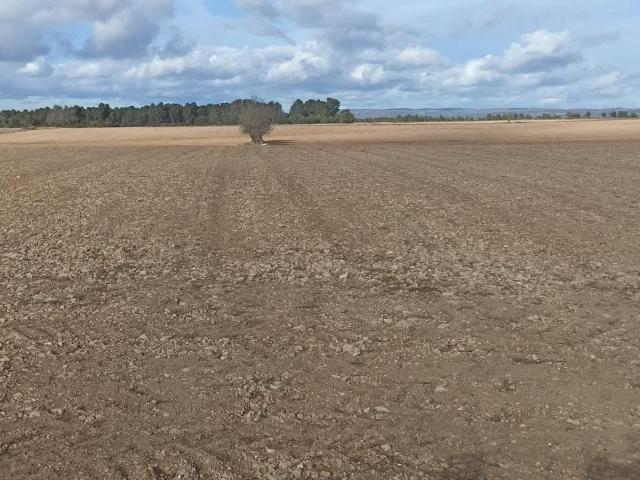 Terreno en venta en El Valle de Cofrentes-Ayora, Valencia
