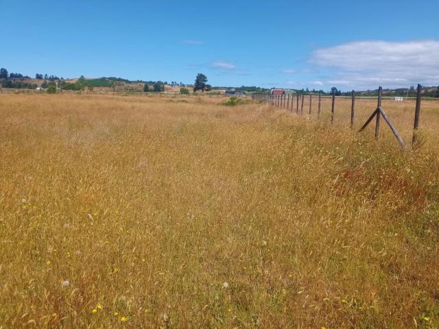 Terreno en Castro