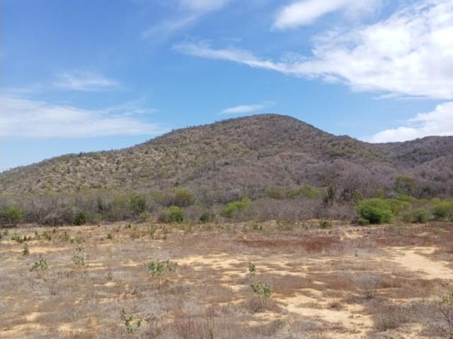 Terreno en venta en Ines, Sucre