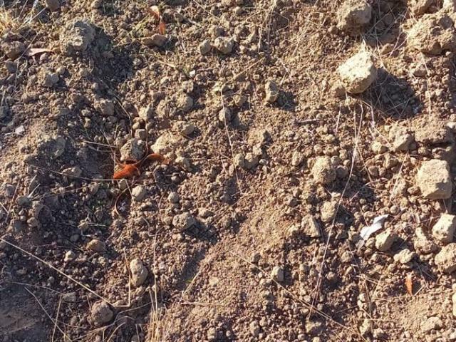 Terreno en Cauquenes