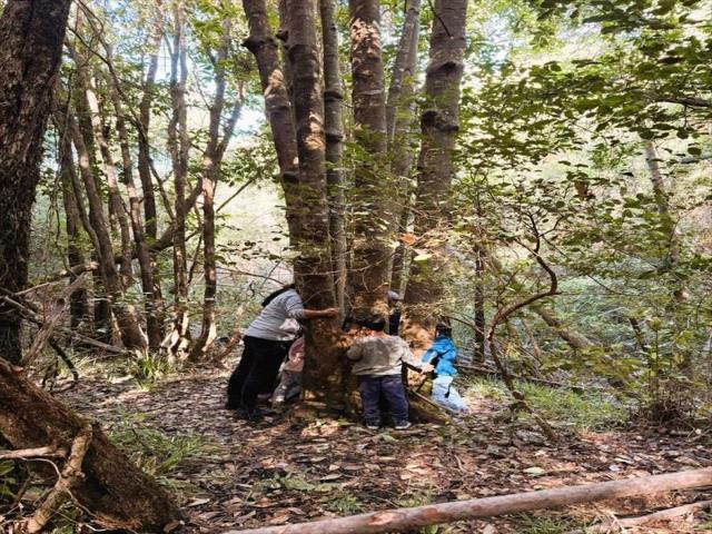 Terreno en Cauquenes