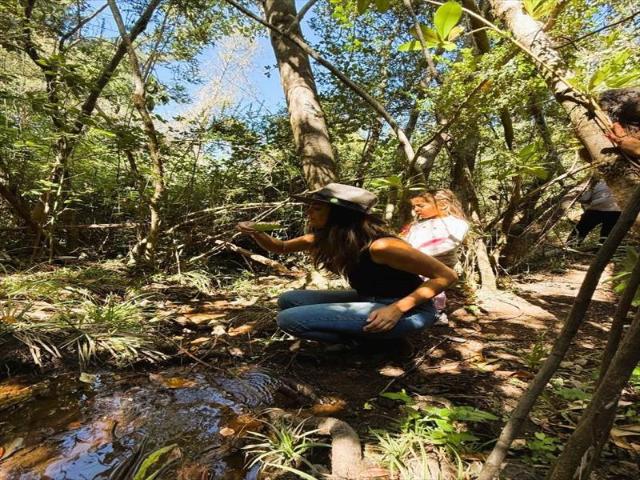 Terreno en Cauquenes