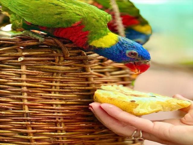 Terreno en Cauquenes