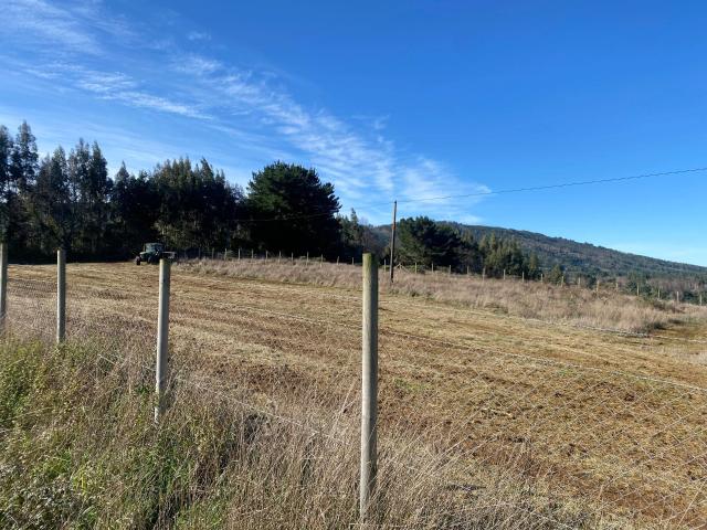 Terreno en venta en Cañete, Biobío