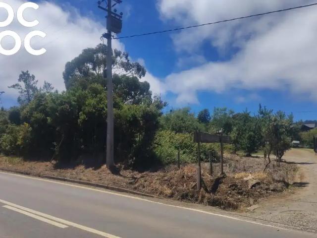 Terreno en venta en Cañete, Biobío