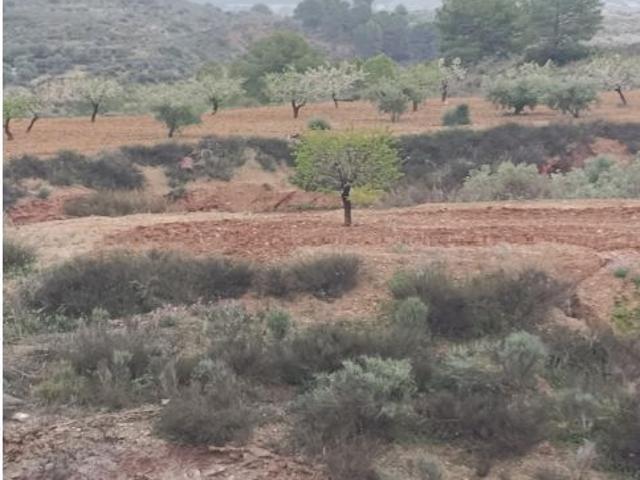 Local Comercial en venta en Noroeste, Murcia
