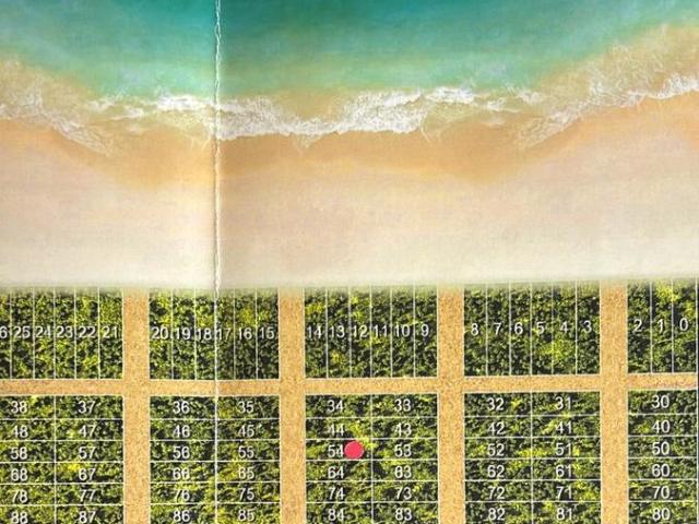 Terreno en venta en Celestún, Yucatán
