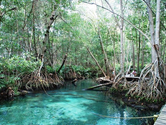 Terreno en venta en Celestún, Yucatán