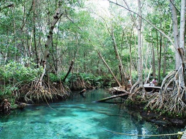 Terreno en venta en Celestún, Yucatán