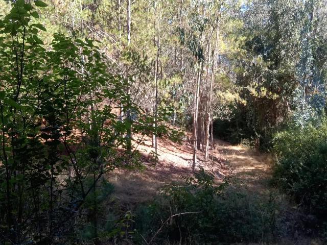 Terreno en Chanco