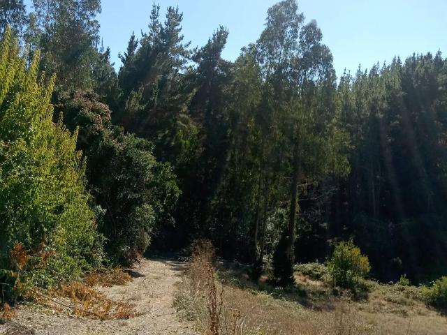 Terreno en Chanco