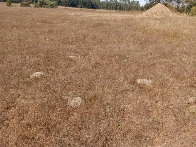 Terreno en Chanco