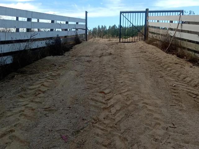 Terreno en Chanco