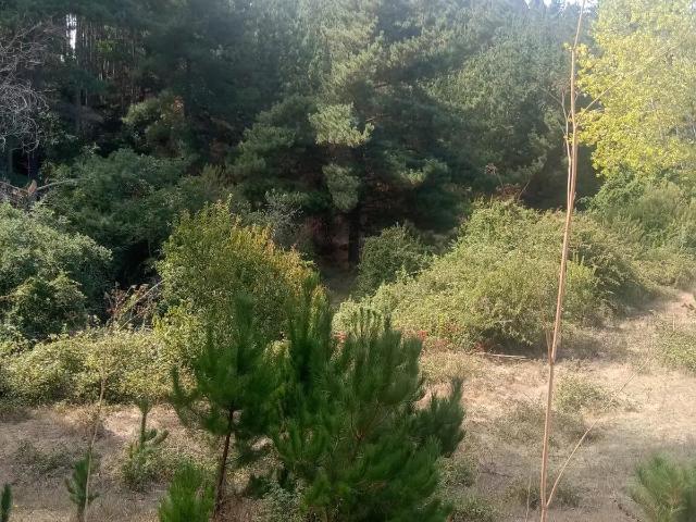 Terreno en Chanco