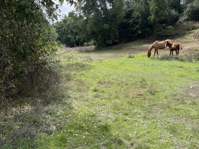 Terreno en venta en Chimbarongo, Libertador General Bernardo O'higgins