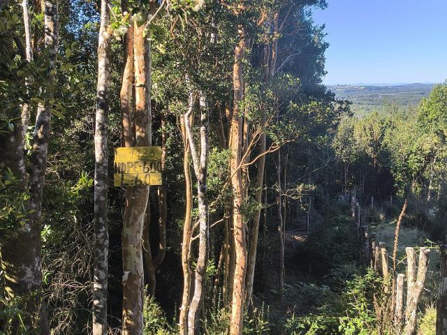 Terreno en Chonchi