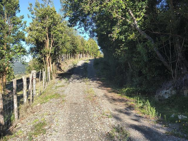 Terreno en Chonchi