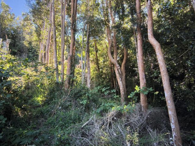 Terreno en Chonchi