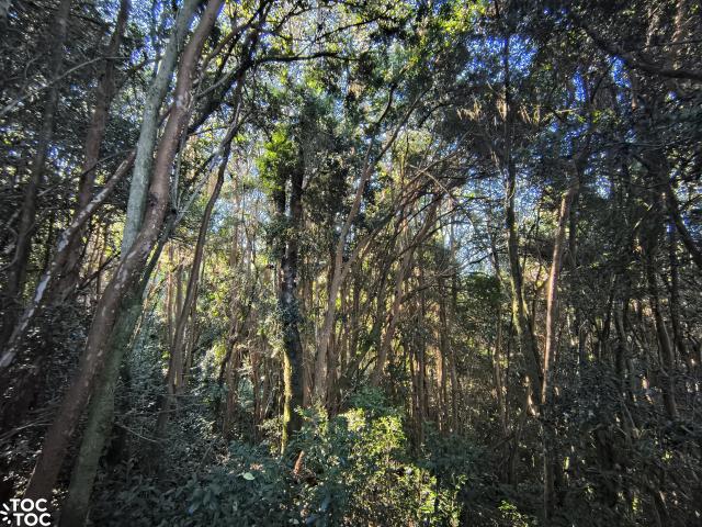 Terreno en Chonchi