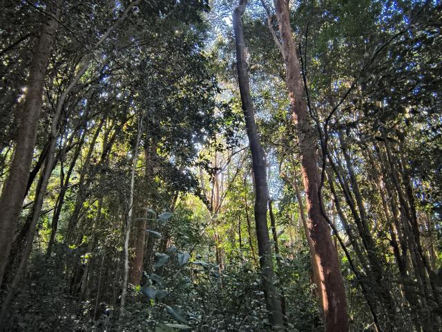 Terreno en Chonchi