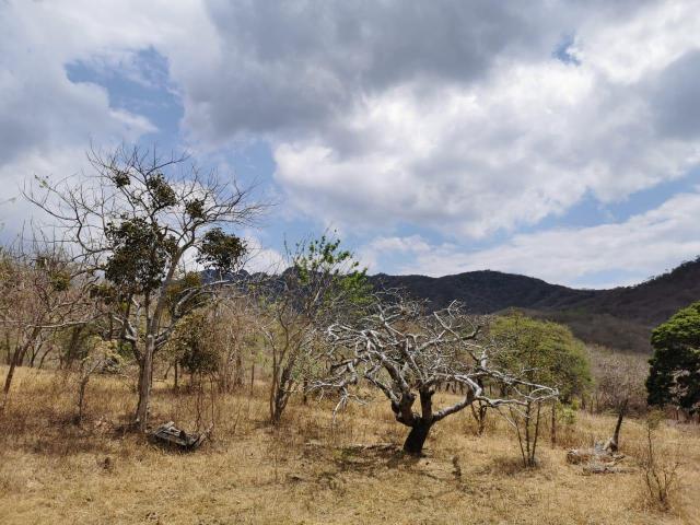 Terreno en venta en Cintalapa, Chiapas