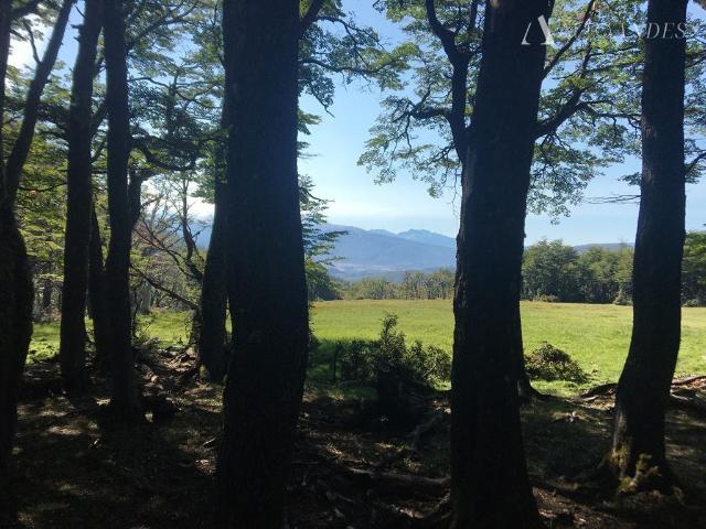 Terreno en venta en Lago Verde, Aysén Del General Carlos Ibáñez Del Campo