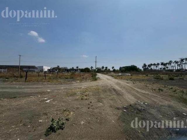 Terreno en Ciudad Mante Centro
