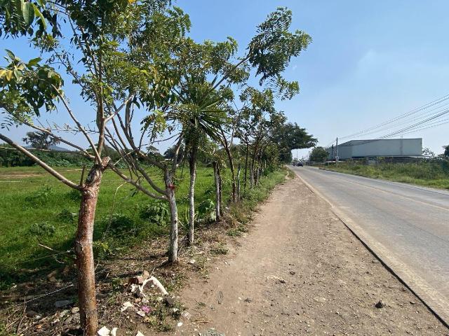 Terreno en renta en Coatepec, Veracruz