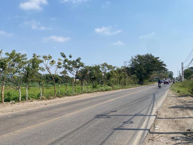 Terreno en renta en Coatepec, Veracruz