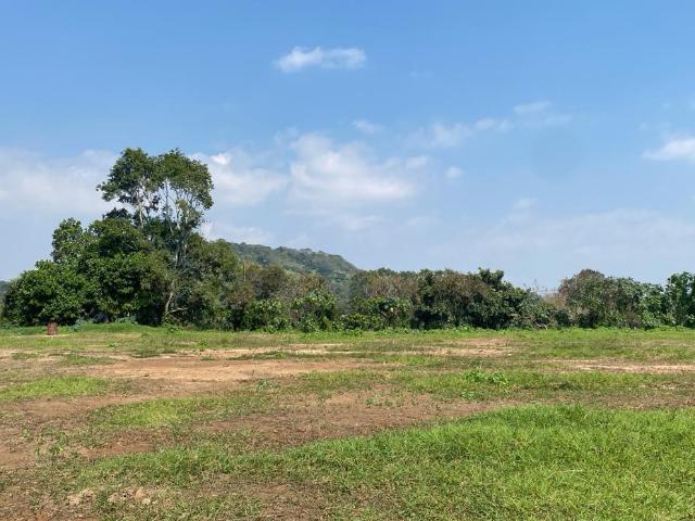 Terreno en renta en Coatepec, Veracruz