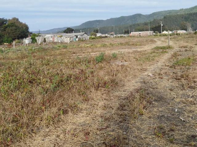 Terreno en Coelemu