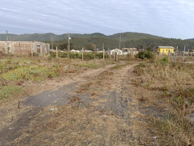 Terreno en Coelemu