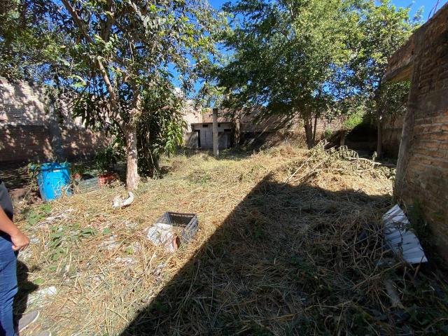 Terreno en renta en Tepic, Nayarit