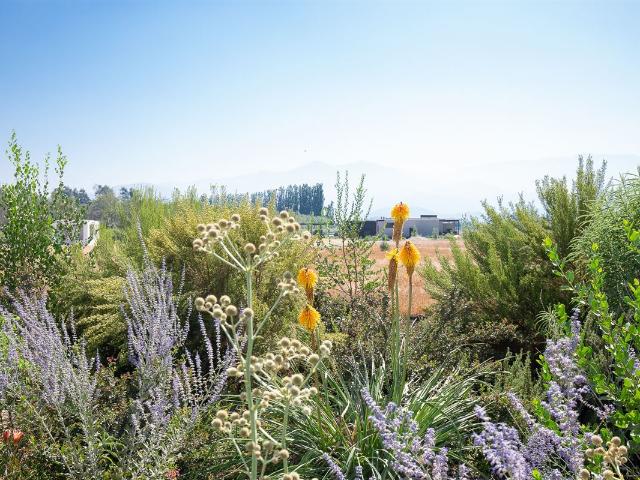 Terreno en venta en Algarrobal, Metropolitana