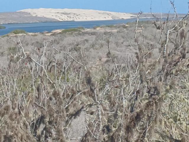 Terreno en venta en Comondú, Baja California Sur