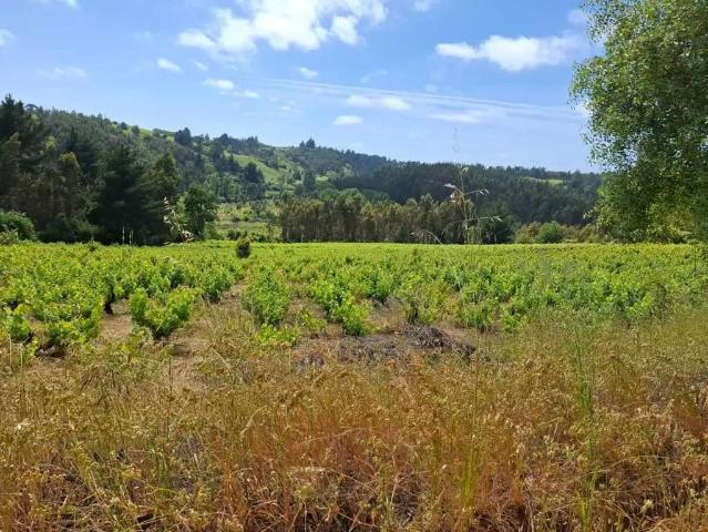 Terreno en venta en Concepción, Biobío