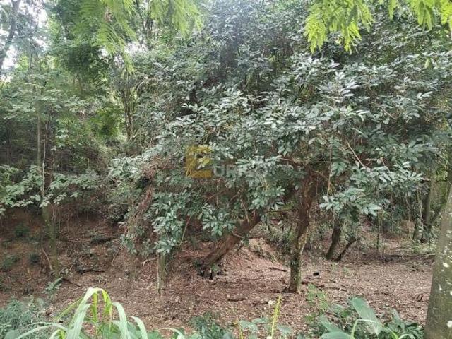 Terreno venda em Região Imediata de Franca, Juranda