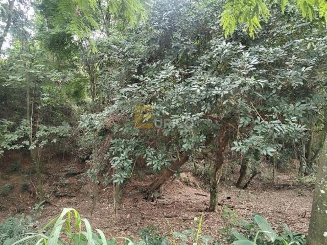 Terreno venda em Polo Industrial Abílio Nogueira, Franca